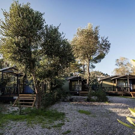Oasi Camping Diano Marina Zewnętrze zdjęcie